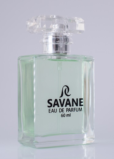 SAVANE / Tendance Sauvage